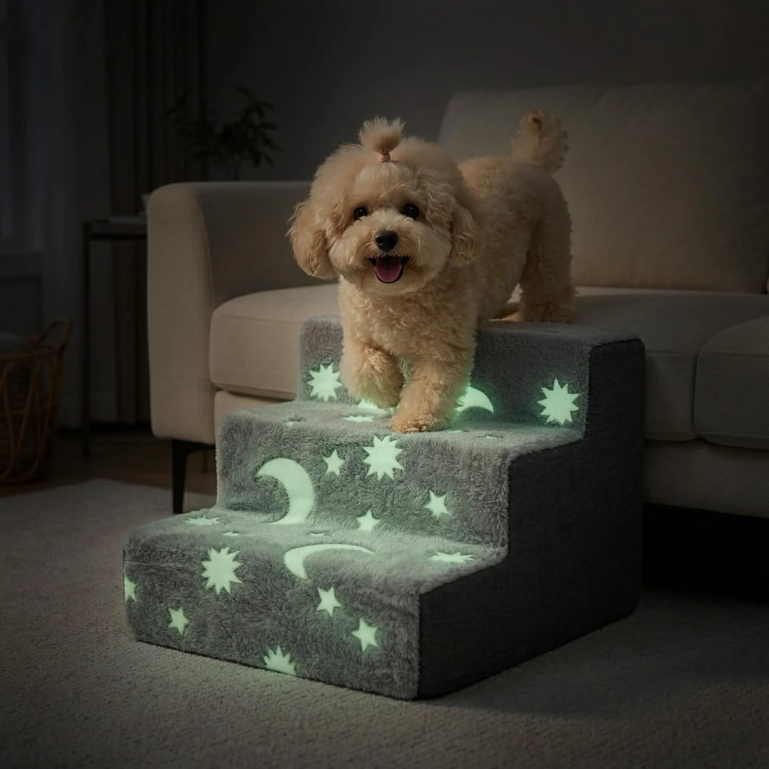Glow-in-the-Dark Pet Steps product image