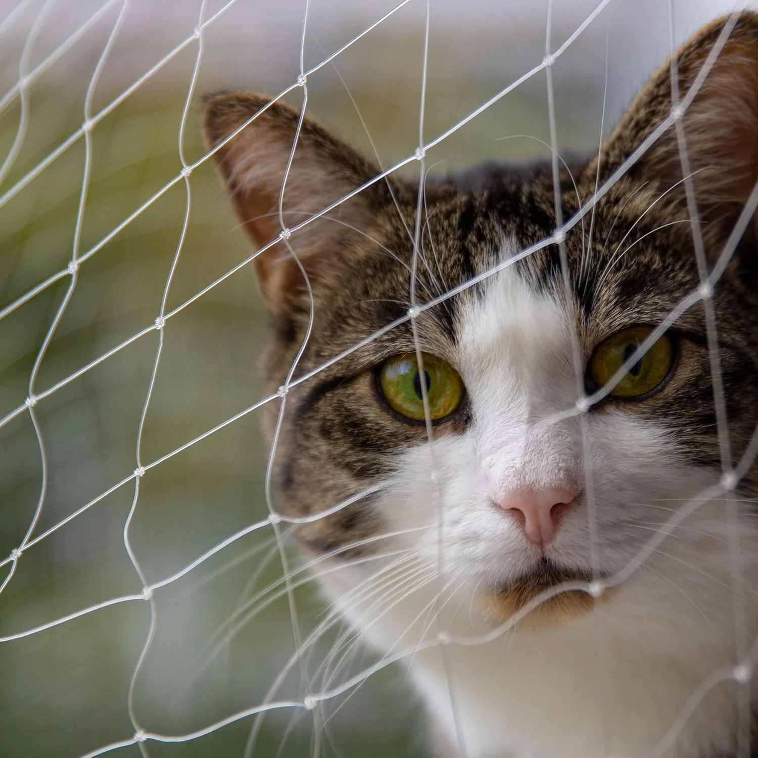 Transparent Cat Safety Net product image